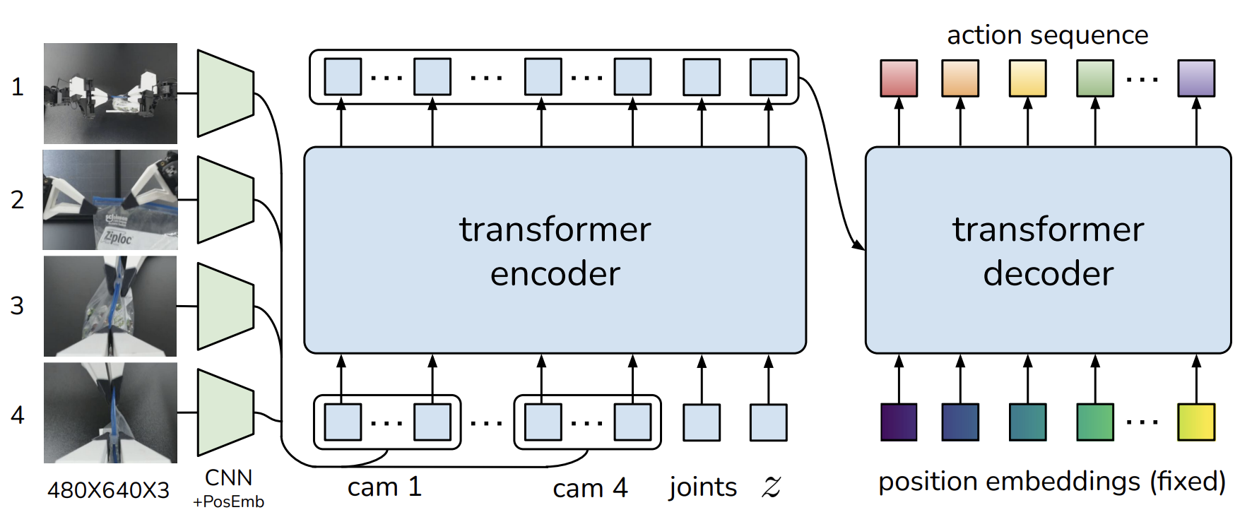 ACT decoder architecture