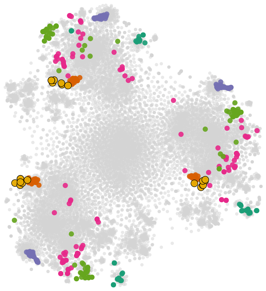 ETF constituent를 표시한 FASCL embedding의 t-SNE