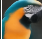 predicted clean image