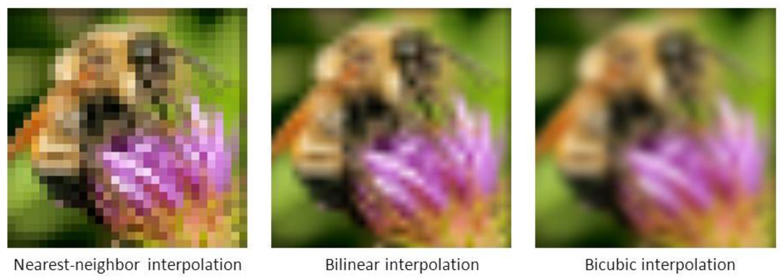 Nearest-neighbour, bilinear and bicubic interpolation of a bee photo