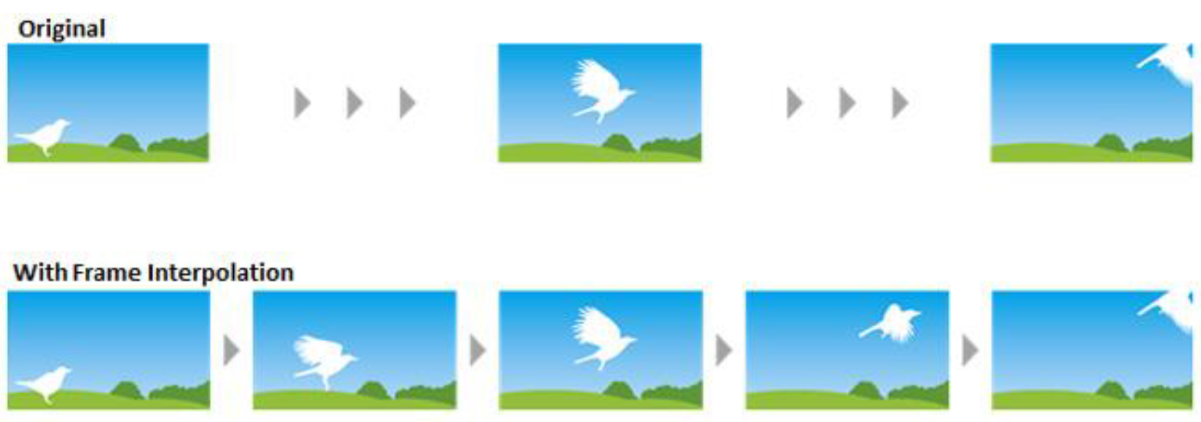 A bird taking off: the original frames, and the same clip with interpolated frames in between