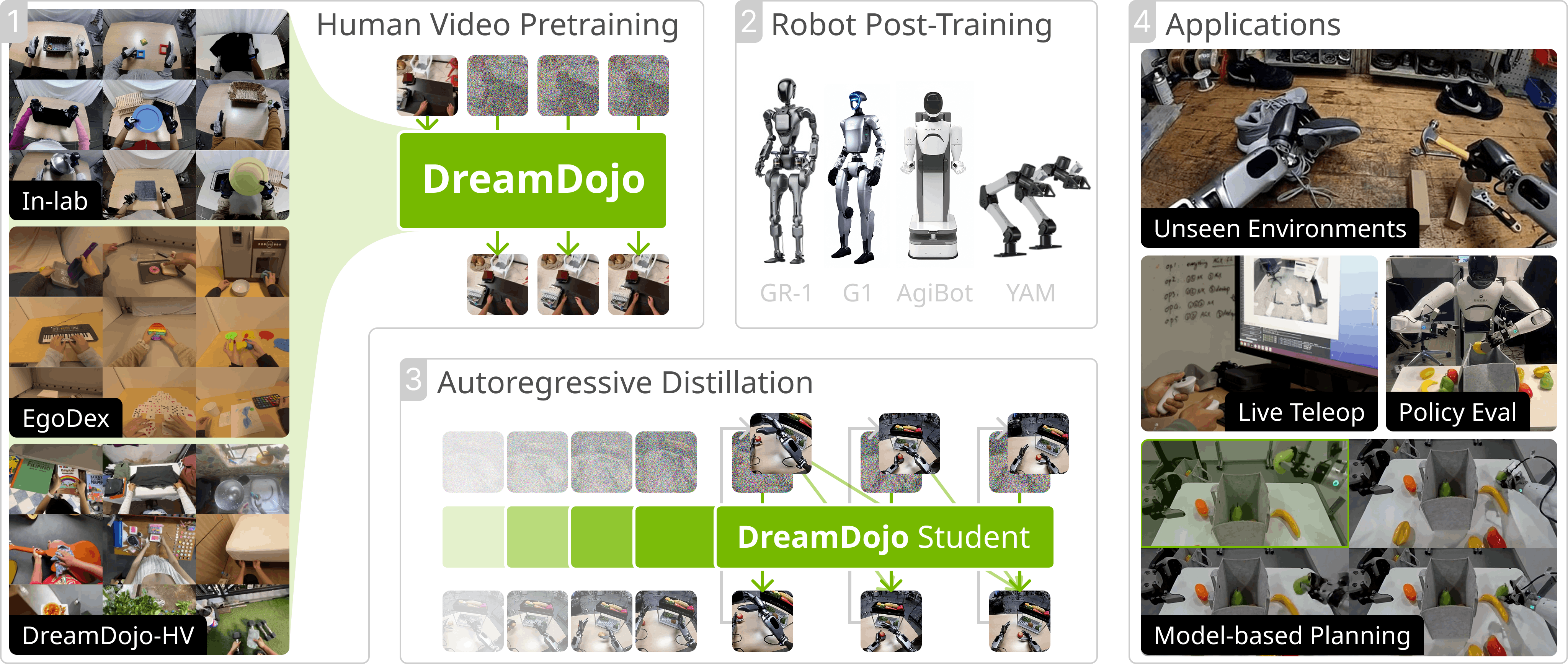 DreamDojo overview — human video pretraining → robot post-training (GR-1·G1·AgiBot·YAM) → autoregressive distillation → applications